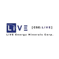 Gold Tree Completes First Exploration Program at Skygold Project